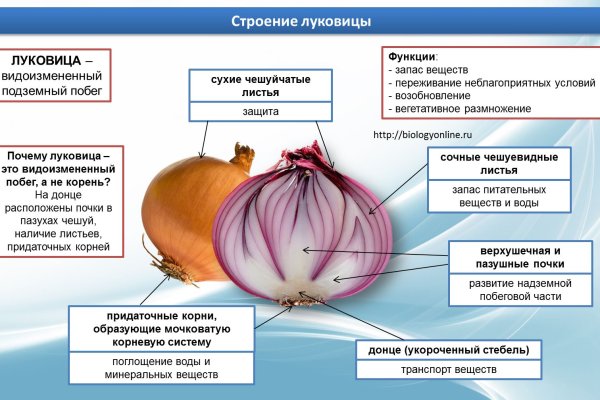 Кракен правильная