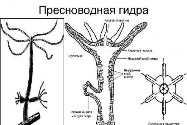 Кракен маркет только через тор