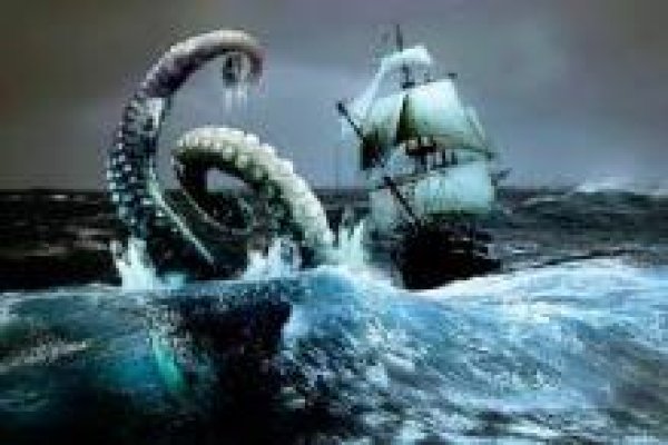 Как найти kraken