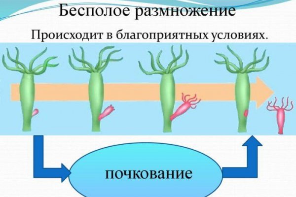 Ссылка кракен не работает